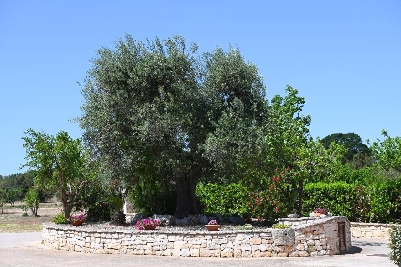 Masseria Peppeturro Bed & Breakfast Cisternino Exterior photo